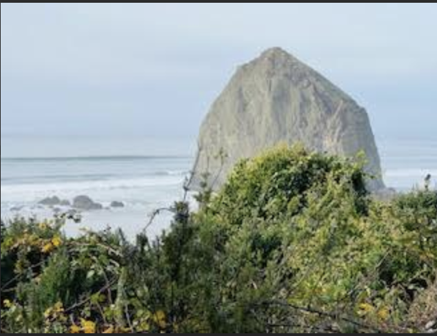 Cannon-Beach.png