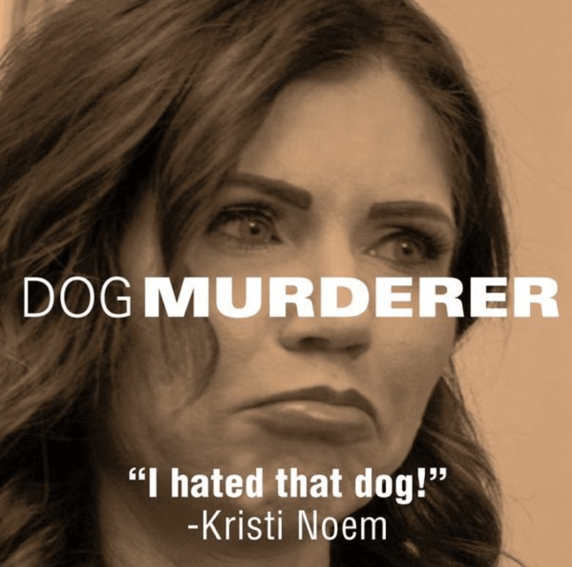 Puppy Killer Kristi Noem VP Odds About to Tank