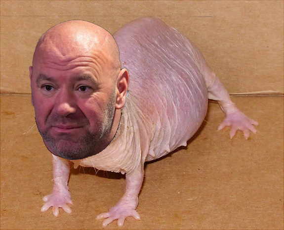 is dana white the mole.png