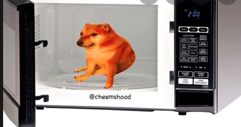 microwave-dog.png