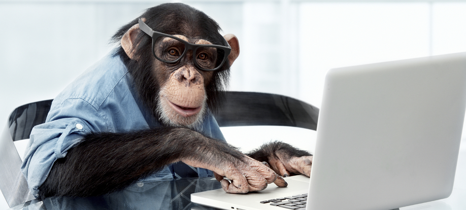 monkey-on-computer.png