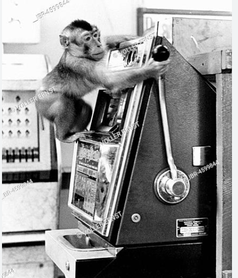 monkey-slot.png