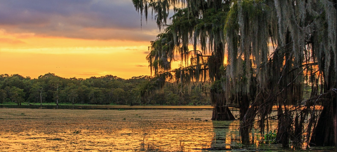 Where Can I Bet the Kentucky Derby From Louisiana? LaptrinhX / News