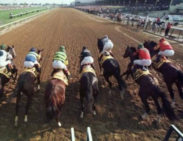 2010 Preakness Stakes Odds