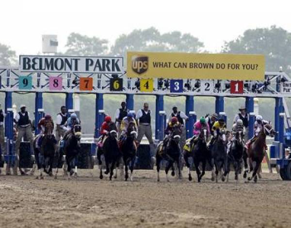 Odds to Win the 2012 Belmont Stakes (Early) | Gambling911.com