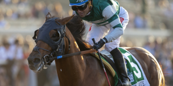 Accelerate Payout Odds 2018 Breeders Cup Classic 