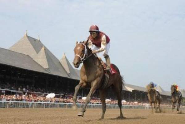 Alpha Odds to Win 2012 Kentucky Derby at 14 to 1