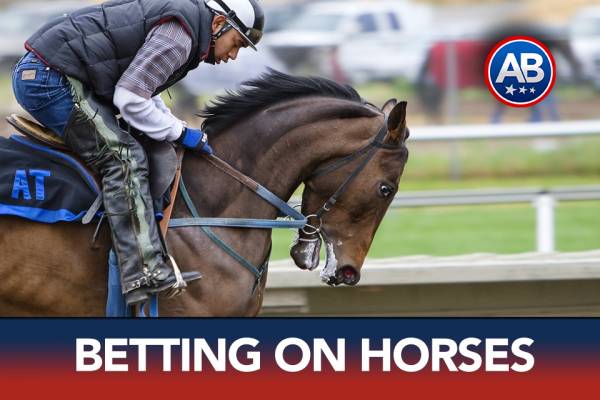 Betting the Triple Crown at Your Online Sports and Racebook