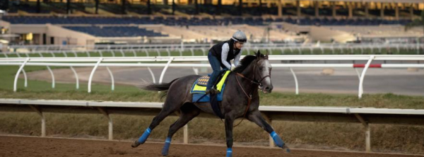 2017 Breeders Cup Classic Afternoon Odds 