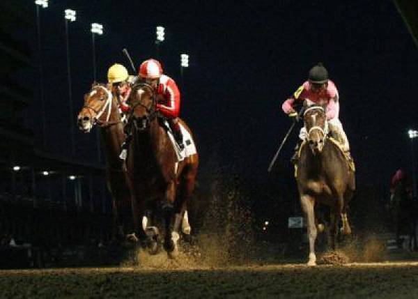 Astrology Odds to Win the 2011 Preakness Stakes