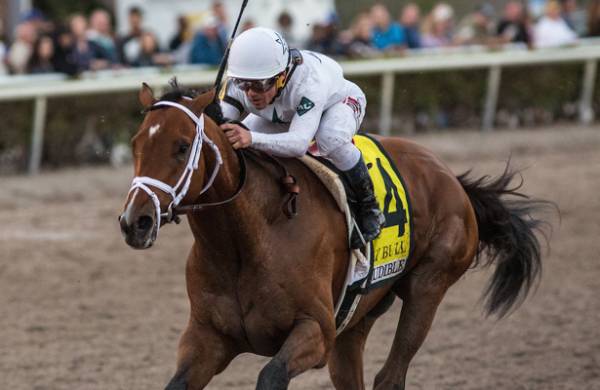 Audible Post Position Chances of Winning the Kentucky Derby 