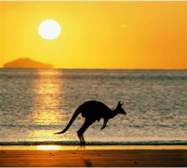 Aussie Millions 2012 Final Table Won’t Feature Phil Ivey