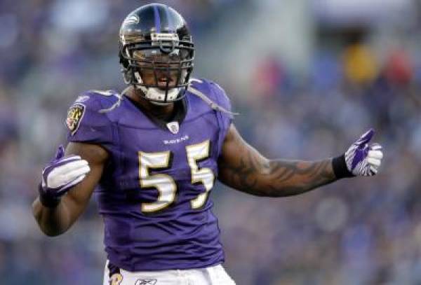 Baltimore Ravens 2013 Super Bowl Odds, Wins Total Bet 