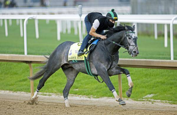 What Are the Payout Odds for Barber Road to Win the Kentucky Derby?  