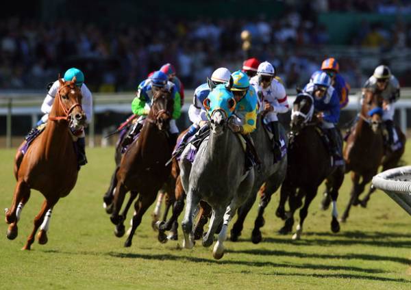 Breeders Cup Classic 2013 Predictions From Lady And The Track