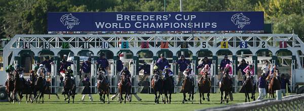 2017 Breeders Cup Classic Overnight Odds 