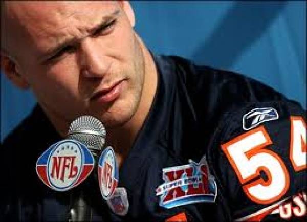 Indianapolis Colts vs. Chicago Bears Line Steady as Brian Urlacher Vow to Play W