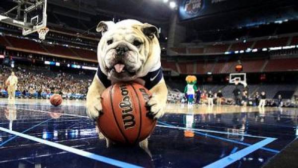 Butler vs. Marquette Betting Line at -2.5 With Bulldogs Getting 70 Percent Actio