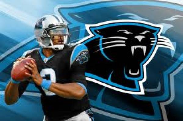 Carolina Panthers Odds to Win NFC South at 2-1, 2014 Super Bowl at 29-1