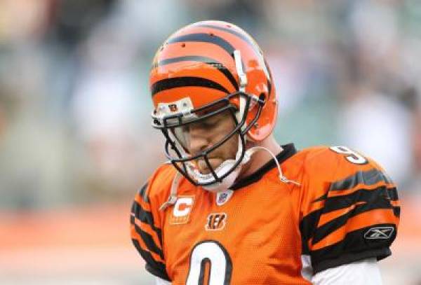 Cincinnati Bengals Odds to Win 2013 Super Bowl, Regular Season Wins Total Bettin