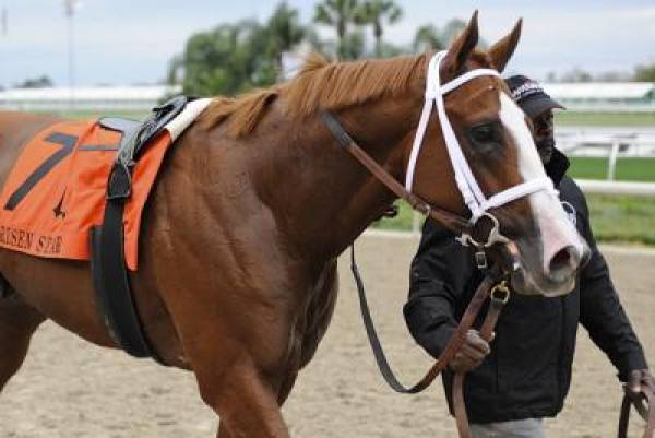 El Padrino Odds to Win the Kentucky Derby