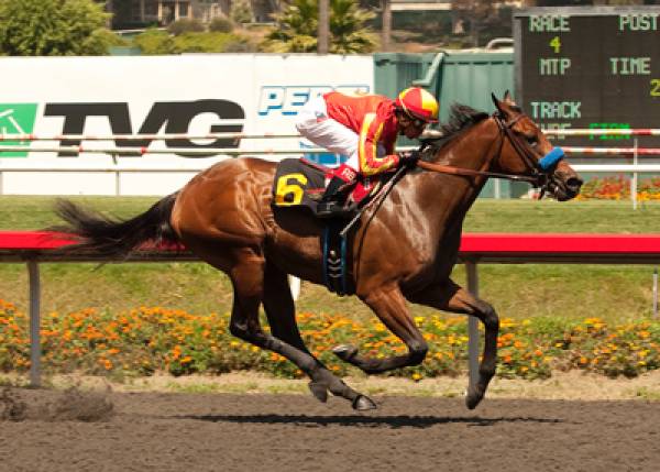 Del Mar Debutante Stakes 2012 Betting Odds:  Executiveprivilege a Good Bet