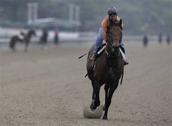 First Dude Belmont Stakes 2010 Odds