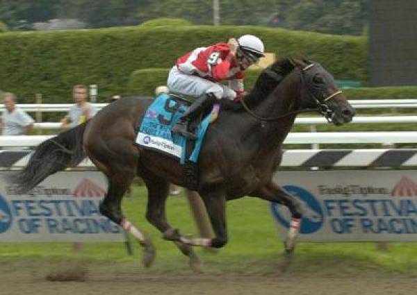 Fort Larned Wins 2012 Breeders Cup Classic 