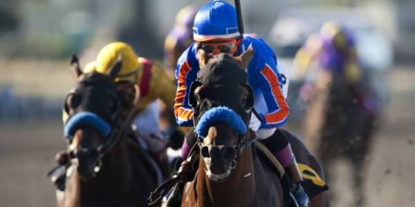 2013 Breeders Cup Classic Betting Odds