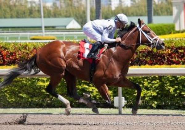 Wood Memorial Stakes 2012 Odds to Win – Aqueduct