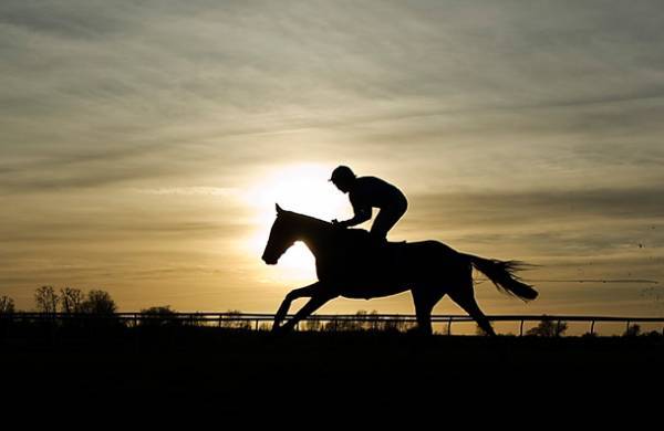 Where Can I Bet the Kentucky Derby Online From Maine