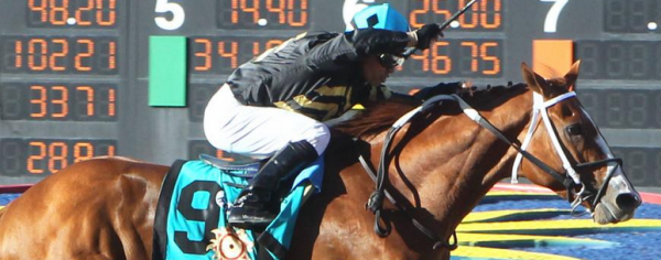 What Will the Payout Be If Hence Wins the Preakness Stakes?