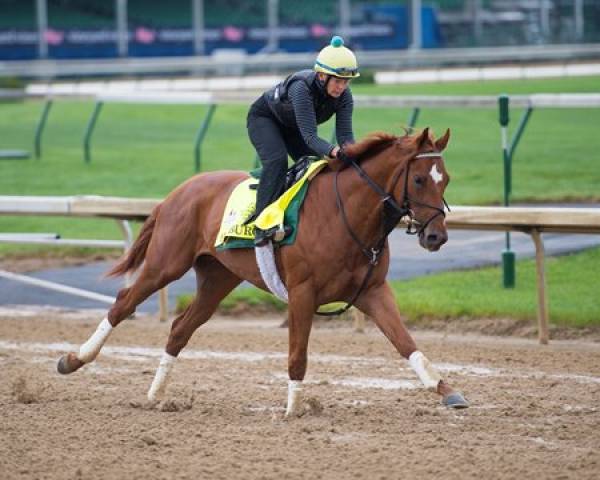 Hofburg Post Position Chances of Winning the Kentucky Derby 