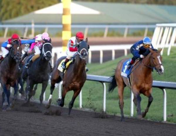 Betting on Horses Online:  Where to Bet