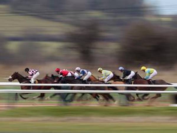 2013 Pennsylvania Derby Betting Odds