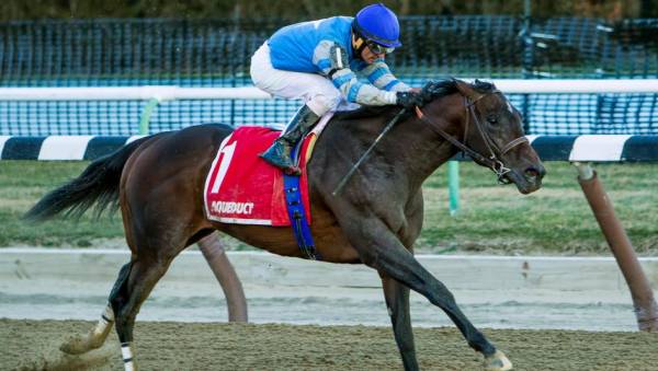 J Boys Echo Odds to Win the 2017 Kentucky Derby 