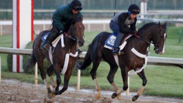 Jackson Bend Kentucky Derby Odds