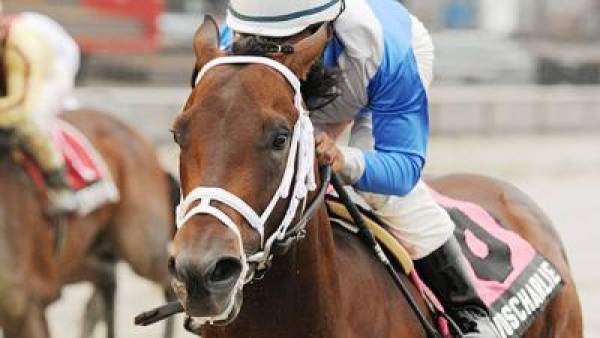 Jerome Stakes 2012 Betting Odds – Aqueduct