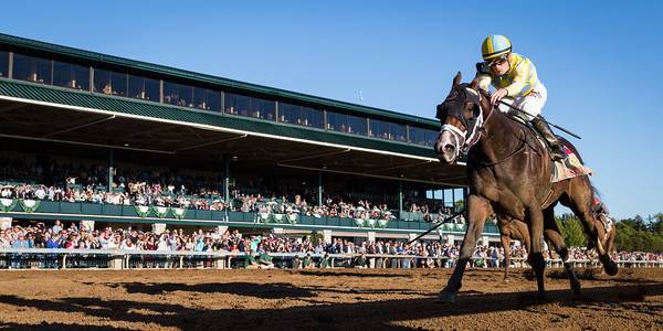 Kentucky Derby 2018 Morning Odds 