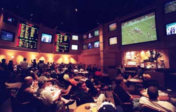 the sportsbook at hollywood casino
