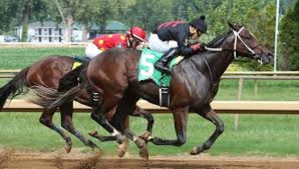 2017 Belmont Stakes Mudders Include Lookin At Lee With Slight Chance of Rain