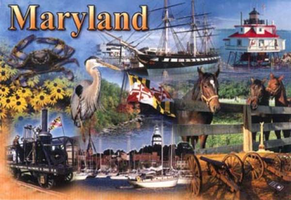 maryland betting online