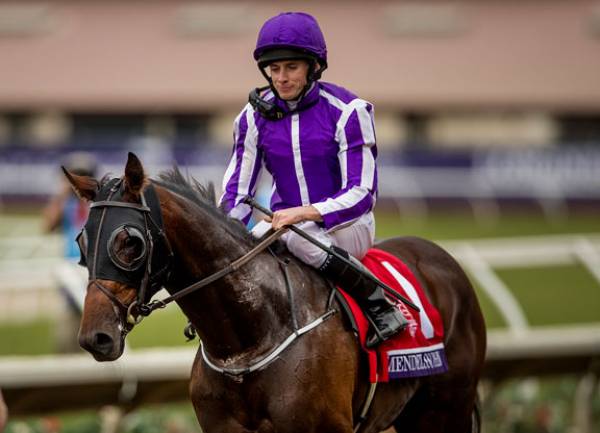 Mendelssohn Payout Odds - Will That UAE Derby Win Matter? 