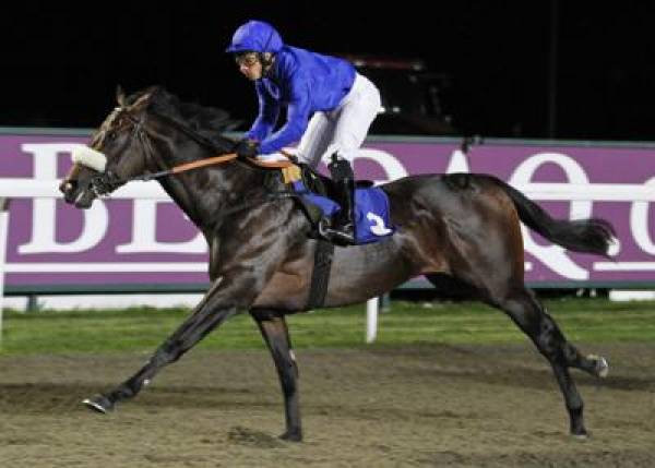 2012 Dubai Carnival Betting Odds:  Meydan $250,000 UAE 2,000 Guineas, More