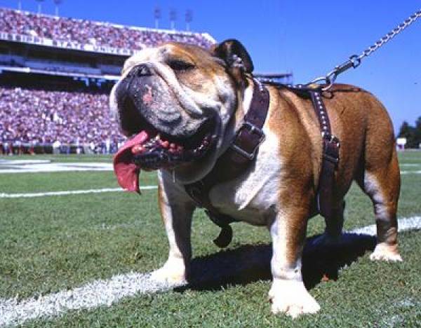 Mississippi Bulldogs Football