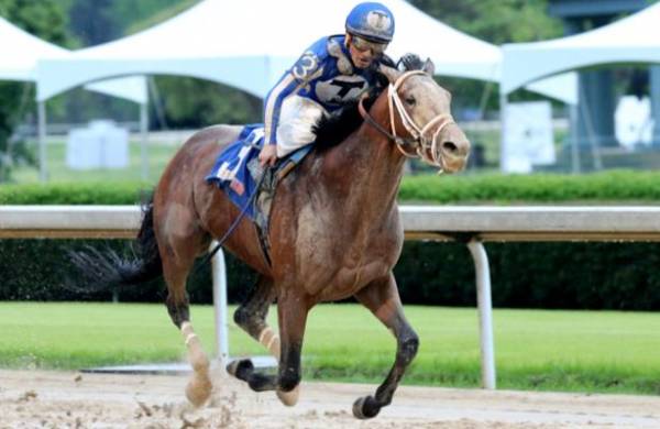 What Will the Payout Be on Mr. Big News to Win the Kentucky Derby? 