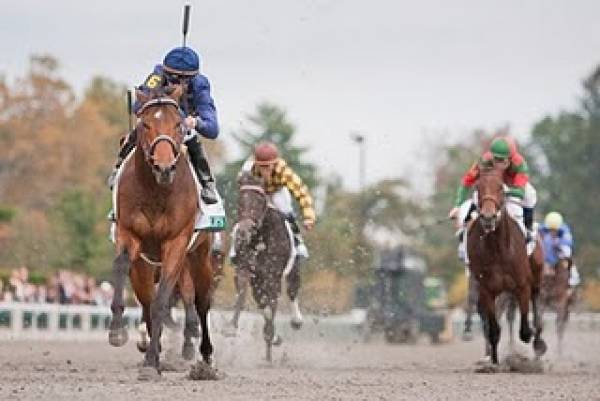 Noble's Promise Kentucky Derby Odds