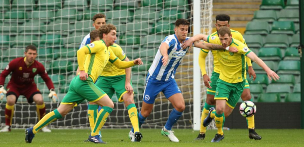 Norwich v Brighton Tips, Betting Odds - Saturday 4 July 