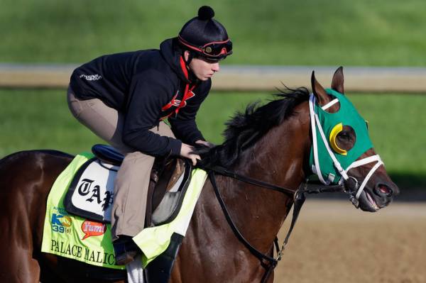 Palace Malice Odds to Win the Breeders Cup Classic 2013