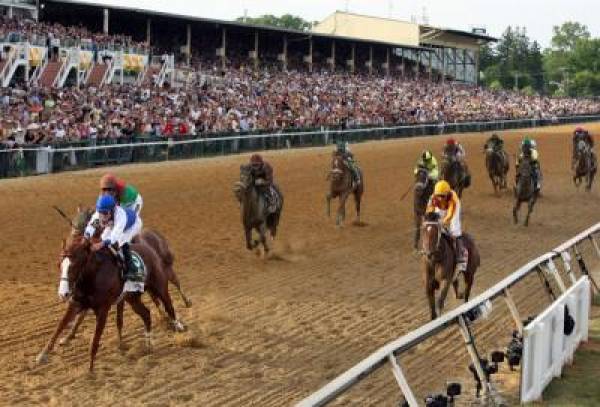 Preakness Stakes 2013 Odds 